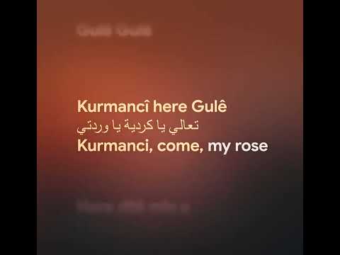 Kurmanci Here Gule - مترجم lyrics Arabic Kurdish English