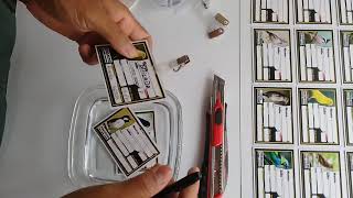 Crachás de Pássaros