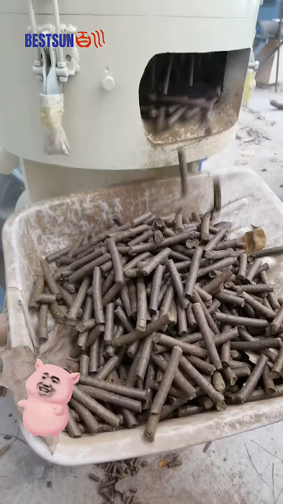 BESTSUN Small Wood Pellet Machine Sawdust Pellets Mill