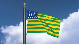 Flag Of Brazil November 1889