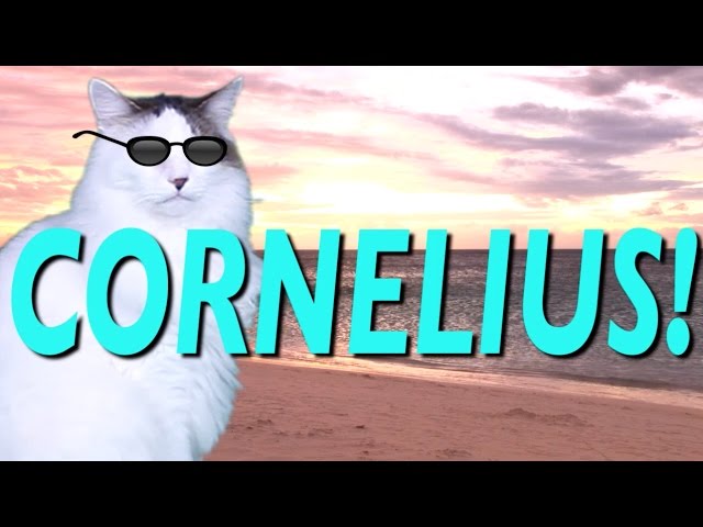 HAPPY BIRTHDAY CORNELIUS! - EPIC CAT Happy Birthday Song