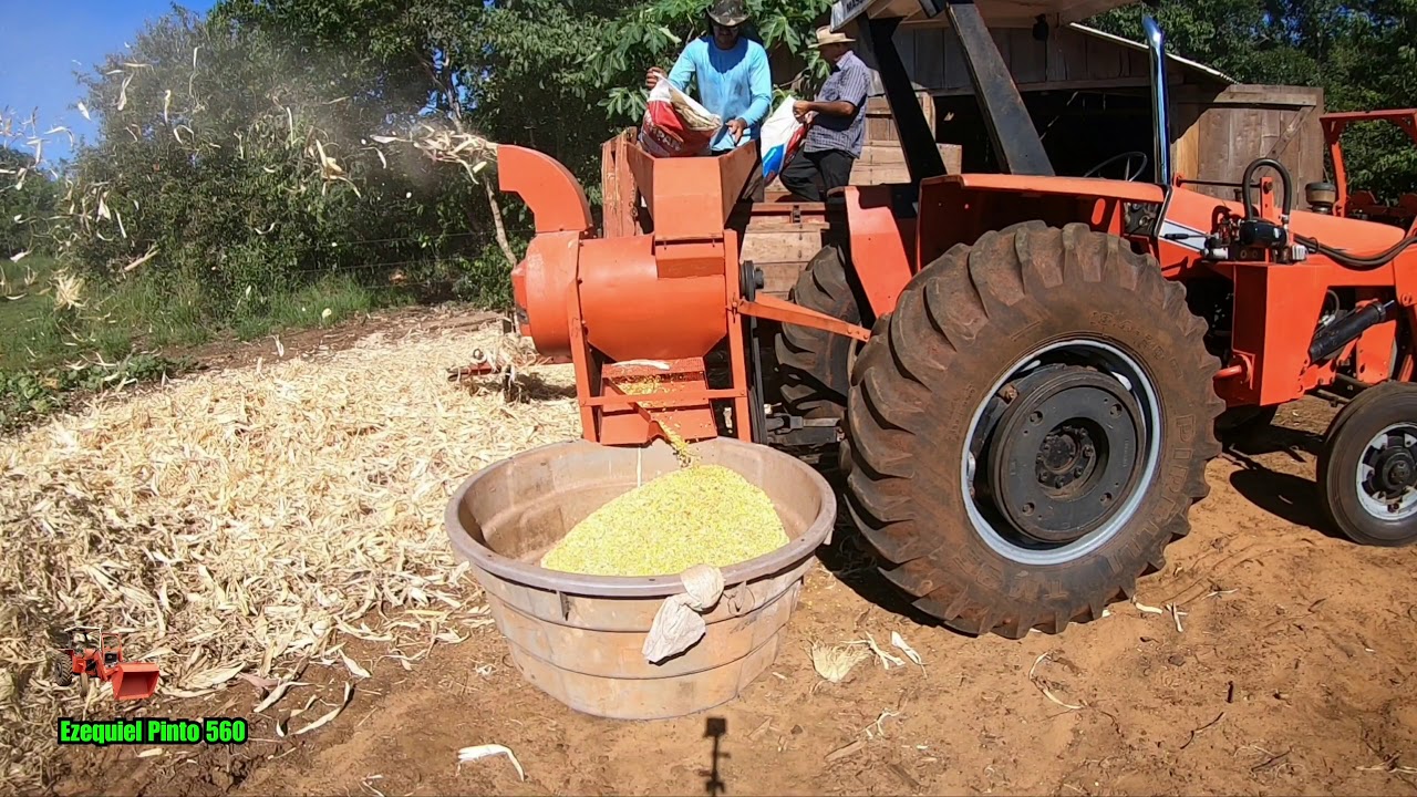 Debulhadeira de milho PENHA 500, operação de forma de mais rendimento, trabalhando meio sozinho