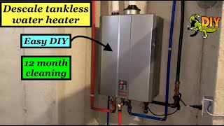 Tankless water heater DeScaling  DIY full flush  Rinnai