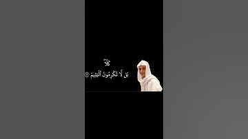 سورة الفجر #القارئ #عبدالرحمن_مسعد #محمد_اللحيدان #ياسر_الدوسري #قران_كريم #تلاوة_خاشعة #quran #fyp