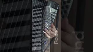 That&#39;s an Irish Lullaby #irishlullaby #roland8x