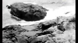 lootbeg - say (official video)