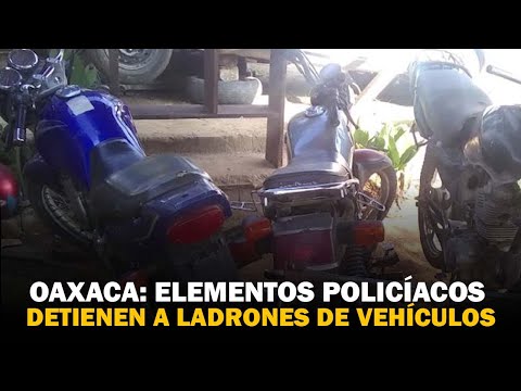 Elementos policíacos detienen