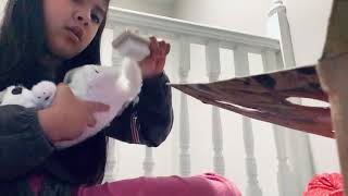 Unboxing two perfect petzzz screenshot 4