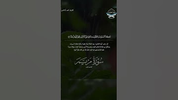 ﴿وَقالُوا اتَّخَذَ الرَّحمنُ وَلَدًا﴾ #محمد_أباالحسن #سورة_مريم #تلاوات #القرآن_الكريم #quran