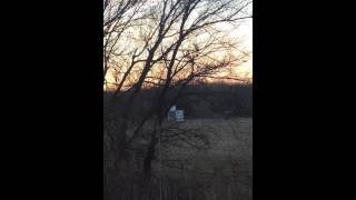 Celebrity Blowing up a refrigerator with tannerite! Profile