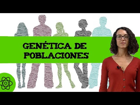 Video: ¿Cuáles son las frecuencias alélicas y las frecuencias genotípicas esperadas?