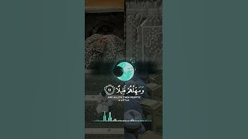 #القارئ عبدالرحمن مسعد#راحه_نفسيه 🤍🤍