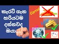කැරට් ගැන හරියටම දන්නවද ඔයා!!| Carrots/ Karat/ Carat