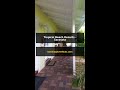 Tropical Beach Resorts - Sarasota