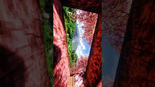 This Minecraft World Is Pure Magic 🌸