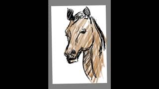 Horse sketch@Draw4therapy