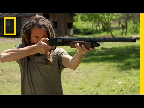 Target Practice for Turkeys | Live Free or Die