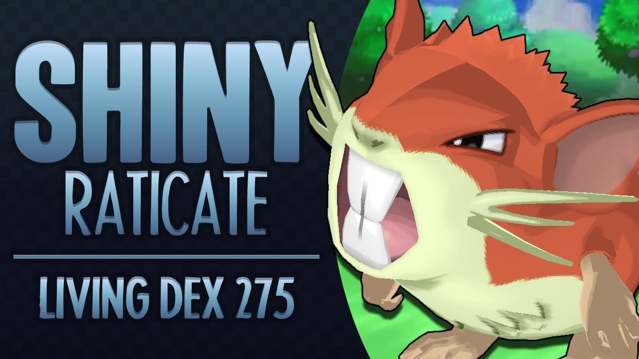 LIVE Shiny Raticate! - Quest for the Living Shiny Dex!