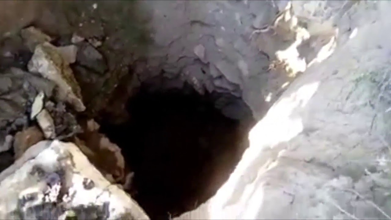 تحقيق آثار تونس المنهوبة