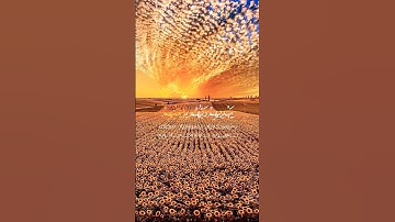 قرآن الكريم بصوت خالد الجليل سورة يونس