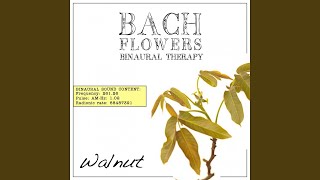 Walnut EFT Dose Therapy (Binaural Real Frequency from Bach Flowers)