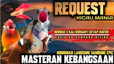 WAJIB KEBANGSAAN‼️MASTERAN SAMBUNG GEREJA TARUNG • CILILIN • TENGKEK BUTO • KAPAS TEMBAK • LOVEBIRD
