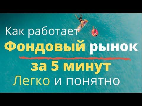 Почему акции растут и падают. Обучение торговле акциями на бирже с нуля.