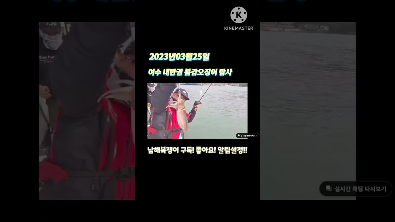 #Shorts #3/25봄갑오징어탐사#봄갑탐사#남해복쟁이#여수그린나래호