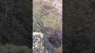 Track bebatuan di Gunung Ciremai #ciremai #pendakigunung