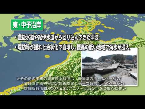 愛媛県南海トラフ巨大地震体験版ＤＶＤ