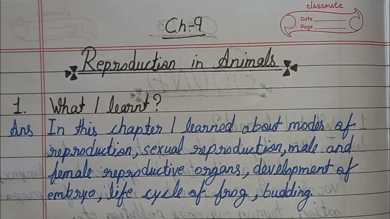 learner-diary-of-class-8-chapter-9-reproduction-in-animals-youtube