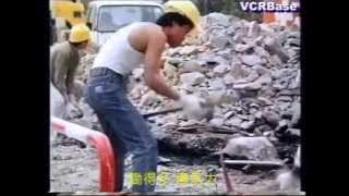 1987年  余仁生鹿尾耙培元湯