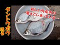 【ダントウボウ】新参者の外来魚を霞ヶ浦で釣獲せよ!