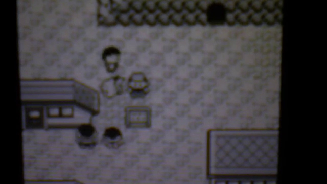 都市伝説 謎のバグ ポケモン７３１についてまとめ ゲーム Theつぶろ