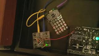 Vlog #20: Time sync jam with softpop, kastle, and dude