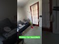 Day in the Life of a Real Estate Investor 🏠 Behind the Scenes