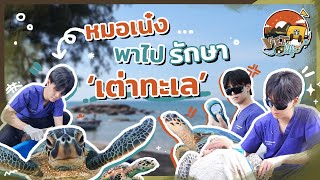 หมอเน๋งพาไปรักษา “เต่าทะเล” พร้อมดูวิธีการอนุบาลเต่าทะเล!! | VET LIFE Ep.3