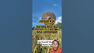 ide kreatif membuat alat pengusir burung#idekreatif #kreatiftool#feedshorts#shorts