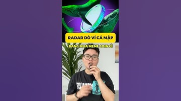 Đây là cheat code giúp trader biết cá voi đang gom coin gì ngay lúc này#crypto #memecoin #whale #cdc