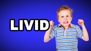 Learn English Words: LIVID - Meaning, Vocabulary with Pictures and Examples