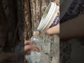 Plastic Bottles #thakorhack #experiment #diy #inventions #diyinnovations #tipsandtricks
