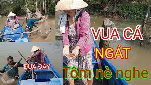 tập 2./ chú sáu vua bắt cá ngát bắt cá sông tiền /vĩnh long