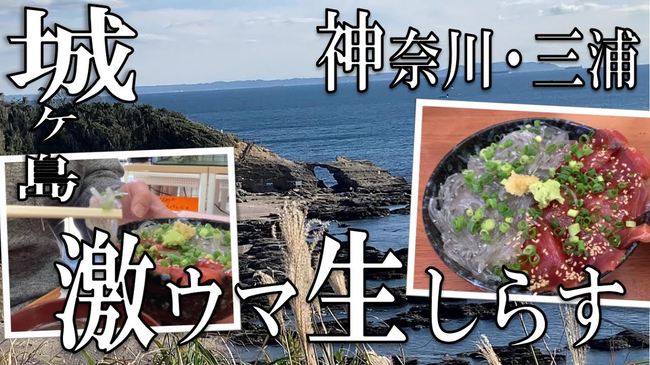 【グルメ】【穴場】三浦・城ヶ島を観光！そして激ウマ生しらす丼をいただきます！【神奈川】【ランチ】