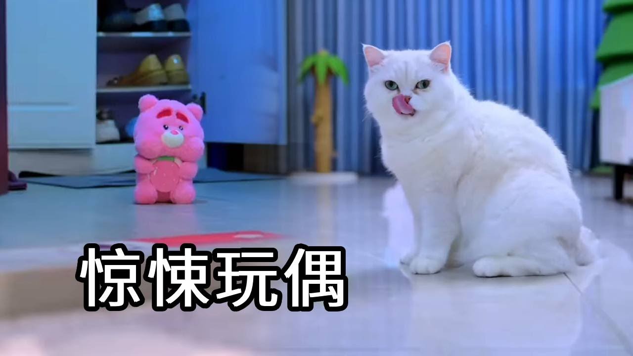 小猫咪的玩偶娃娃自己跑到门外，居然想要杀害小猫咪！世界上真的有阿飘吗【七宝小圆子】