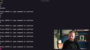 Class variables vs class instance variables in Ruby
