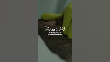 تلاوة خاشعة سورة البقرة |Surah Al-Baqarah