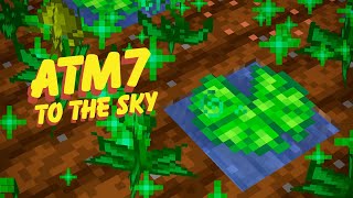 Mystical Agriculture Easy Automation EP34 All The Mods 7 To The Sky