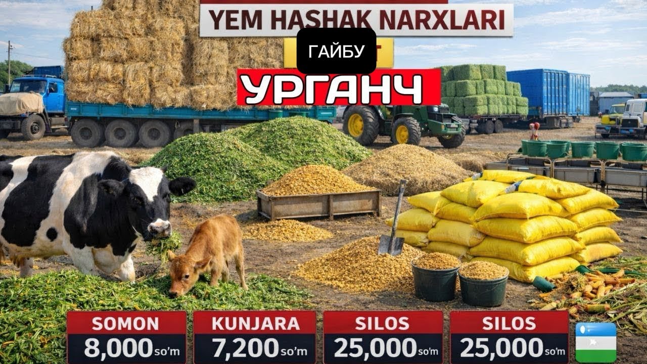 08.03.2026🦬ХОРАЗМ УРГАНЧ ГАЙБУ ЕМ ХАШАК БОЗОРИ ЯНГИ ЕМ НАРХИ АРЗОНЛАДИ 