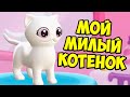 😻Новый КОТЕНОК😻Ухаживаю за питомцем Котики тамогочи