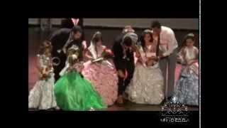 Mini Venezuela Edicion 2014